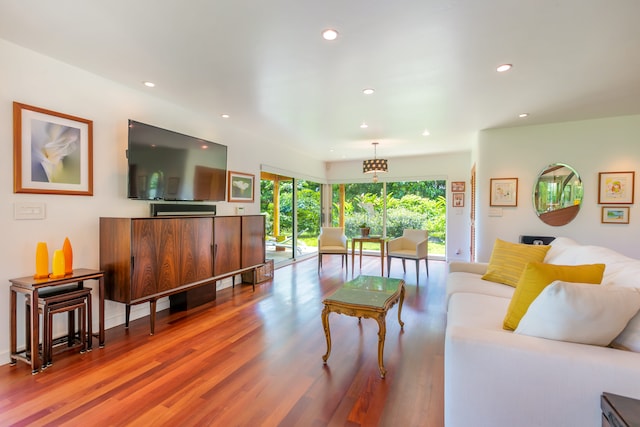 living room with wood-type flooring