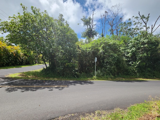 Listing photo 3 for S Moku St, Pahoa HI 96778