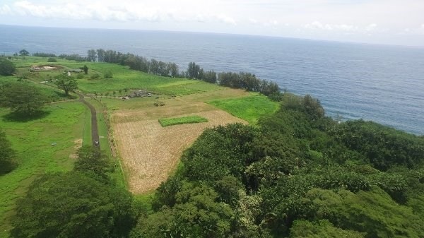 Pepeekeo HI, 96783 land for sale