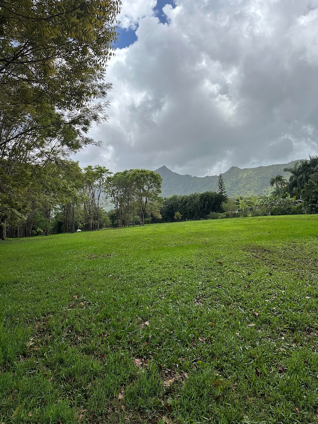 Halaulani Rd, Kilauea HI, 96754 land for sale