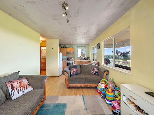 living room with light wood-type flooring