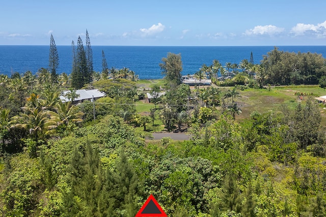 1st Ave, Keaau HI, 96749 land for sale