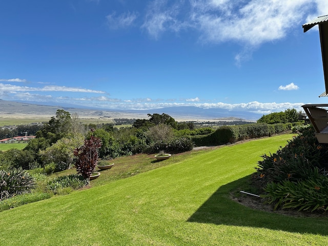 view of yard with a mountain view and a rural view