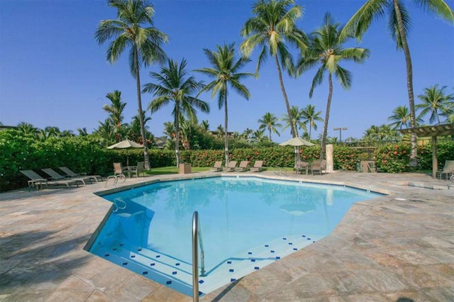 view of swimming pool with a patio area