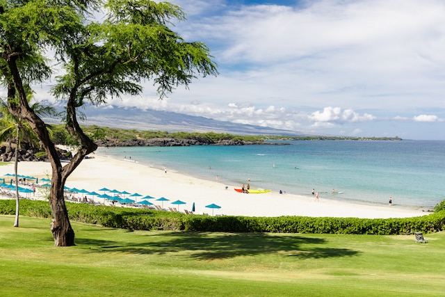 property view of water featuring a beach view