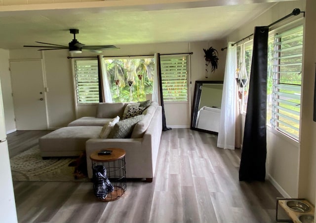 living room with hardwood / wood-style flooring and ceiling fan