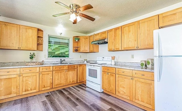 kitchen with sink, dark hardwood / wood-style flooring, ceiling fan, and white appliances