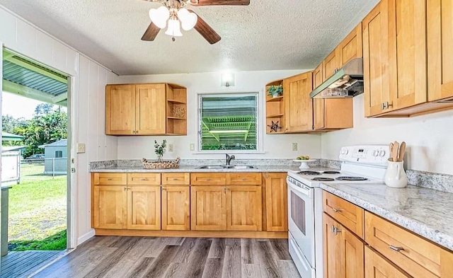 kitchen featuring wood-type flooring, white range with electric cooktop, plenty of natural light, and a textured ceiling