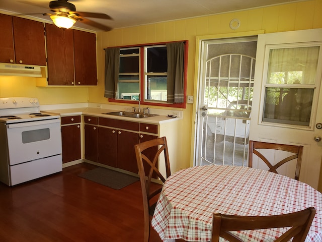 kitchen with sink, dark hardwood / wood-style floors, white electric range, and ceiling fan