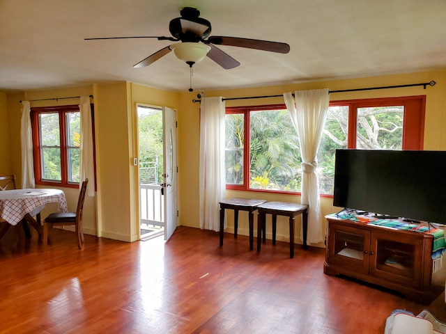 interior space featuring ceiling fan, a wealth of natural light, and wood-type flooring