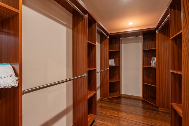 walk in closet featuring dark wood-type flooring