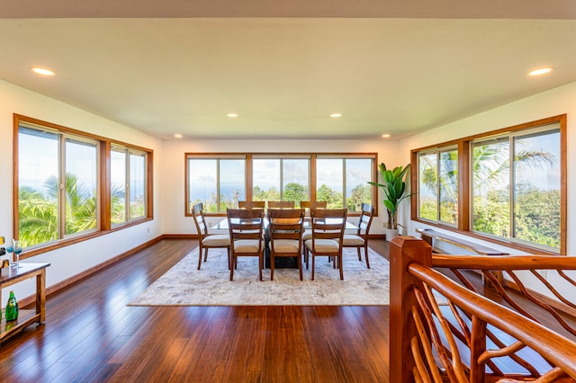 dining area featuring dark wood-type flooring