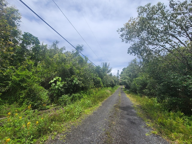 Listing photo 3 for Ainaua Pl, Pahoa HI 96778