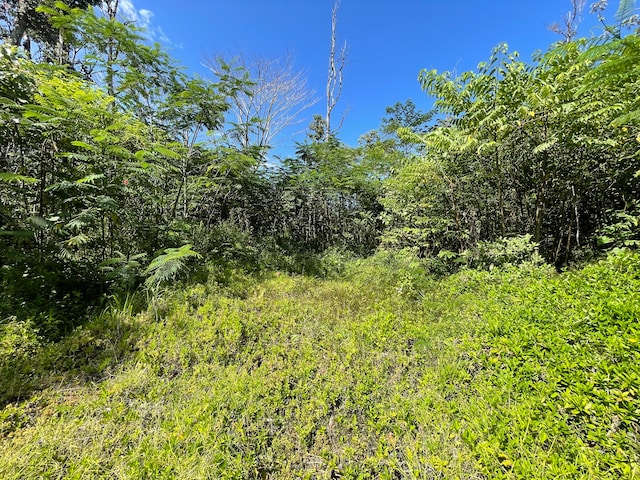 Listing photo 3 for 15-2793 Nenue St, Pahoa HI 96778