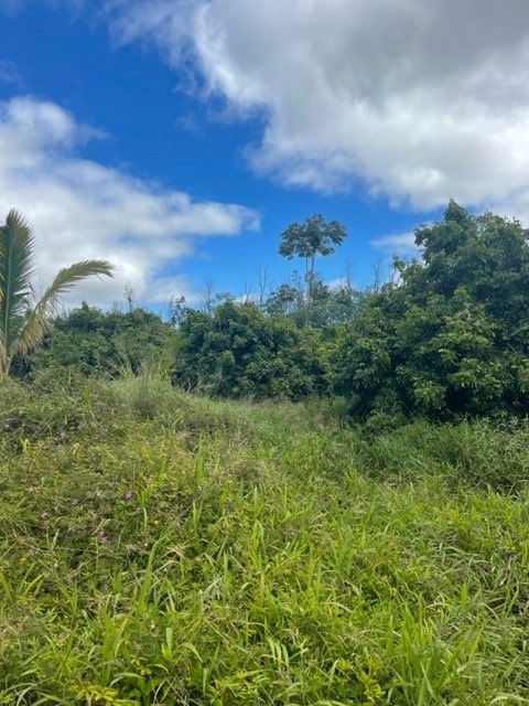 39th Ave, Keaau HI, 96749 land for sale