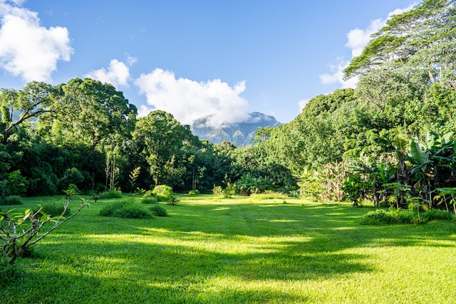 Listing photo 3 for Kuhio Hwy, Hanalei HI 96722