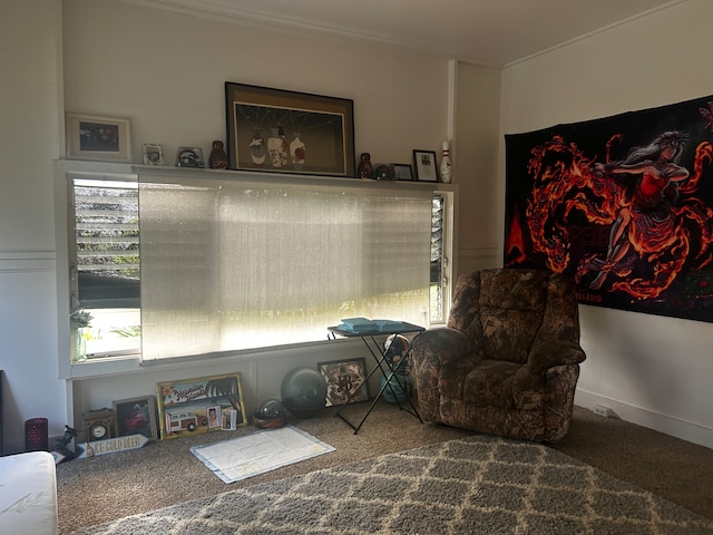 sitting room featuring carpet floors