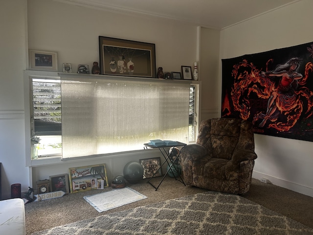 sitting room with carpet flooring