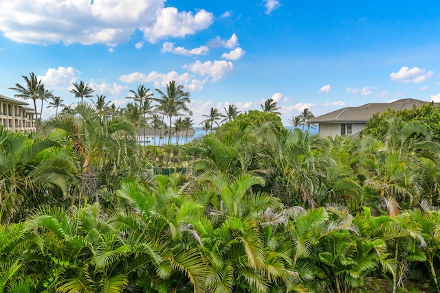 view of nature featuring a water view