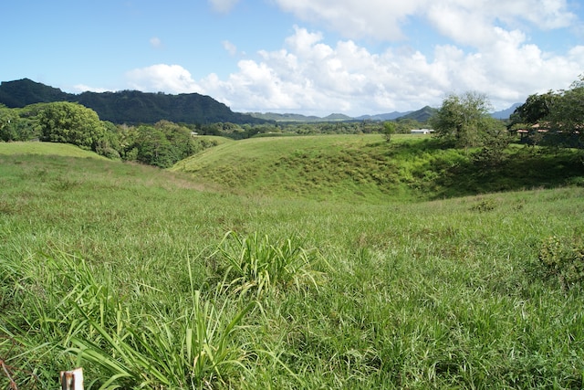 Listing photo 2 for Olohena Rd, Kapaa HI 96746