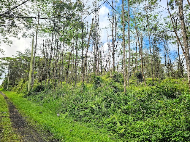 Pikake Rd, Pahoa HI, 96778 land for sale