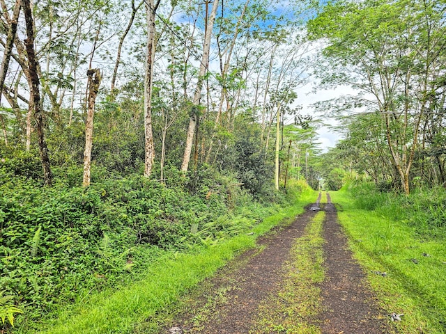 Listing photo 3 for Pikake Rd, Pahoa HI 96778