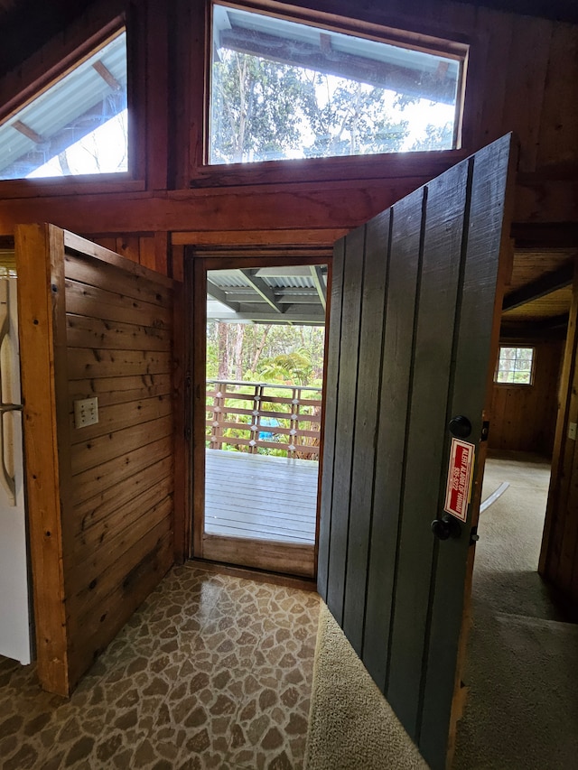 interior space with wooden walls