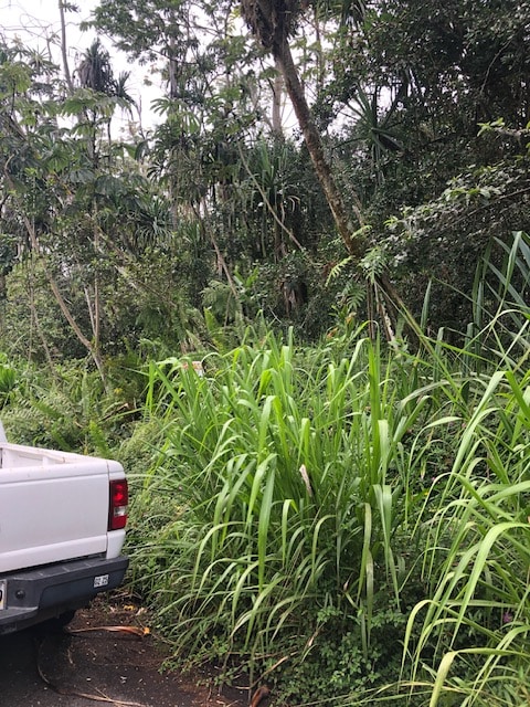 Listing photo 2 for Puni Makai Loop, Pahoa HI 96778