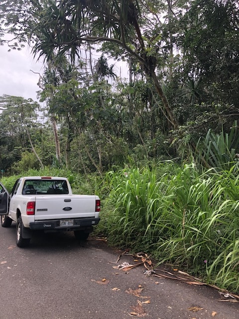 Listing photo 3 for Puni Makai Loop, Pahoa HI 96778