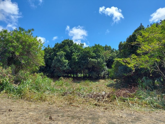 Puka St, Naalehu HI, 96772 land for sale