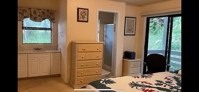 carpeted bedroom with sink