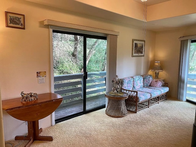 living area with a healthy amount of sunlight and carpet