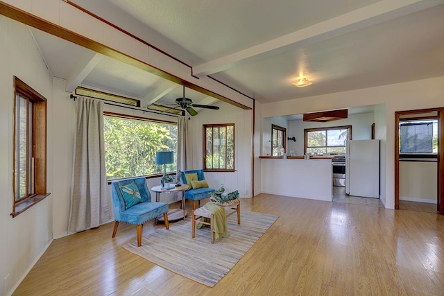 living area with ceiling fan, lofted ceiling with beams, and light wood-type flooring