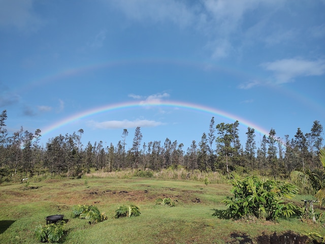 view of local wilderness