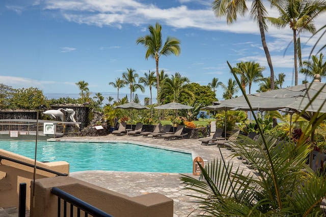 view of pool featuring a patio area