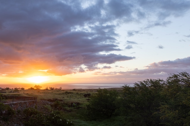 view of nature at dusk