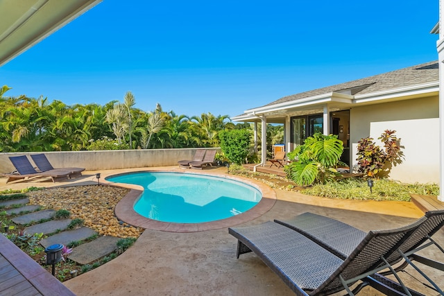 view of pool with a patio area