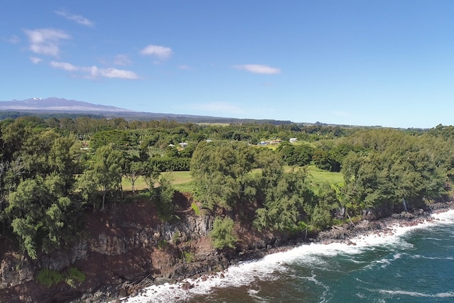 Listing photo 3 for 29-3818 Hawaii Belt Rd, Hakalau HI 96710