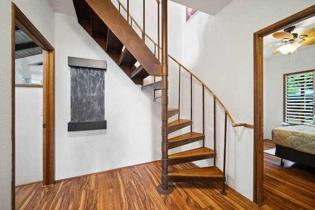 stairs with wood-type flooring and ceiling fan