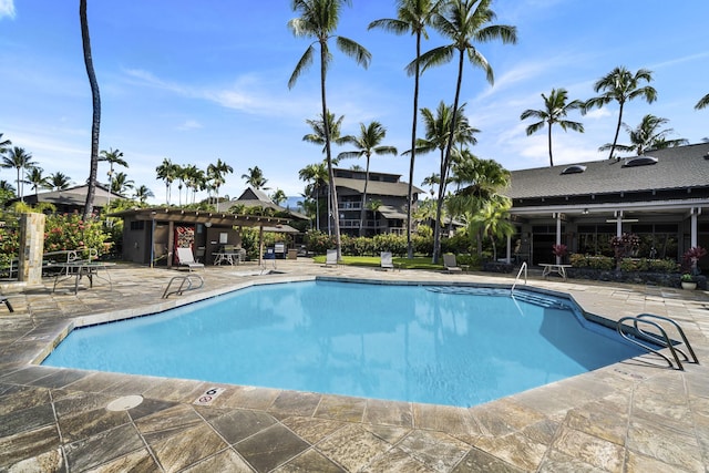 view of pool featuring a patio