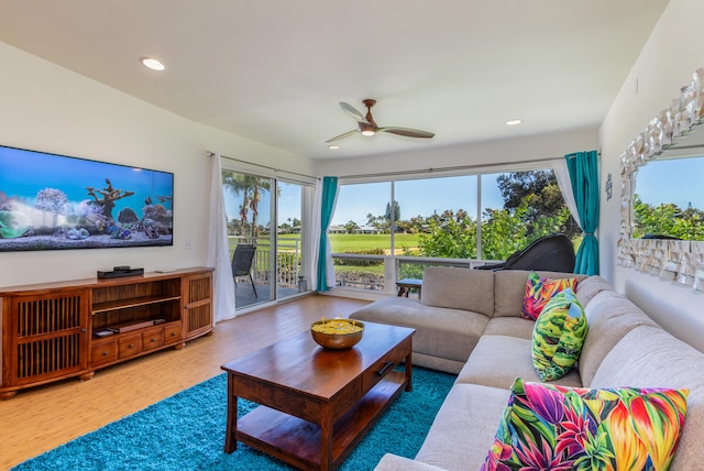 living room with ceiling fan and hardwood / wood-style flooring