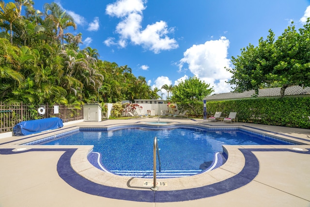 view of pool with a patio area