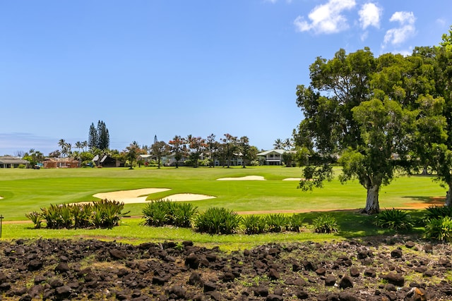 view of property's community with a yard