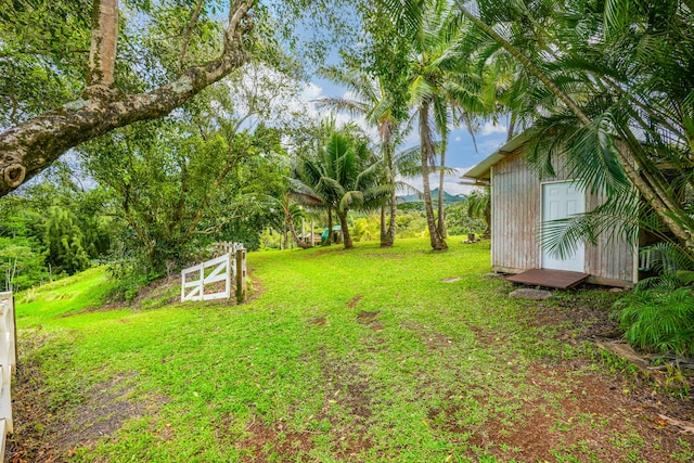 view of yard with a shed