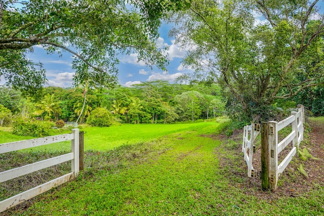 view of yard