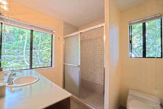 bathroom featuring a healthy amount of sunlight, vanity, an enclosed shower, and toilet