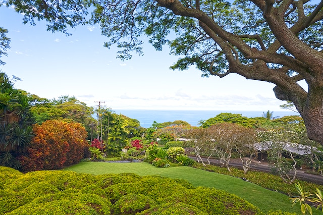 view of yard featuring a water view