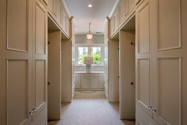 spacious closet with light carpet