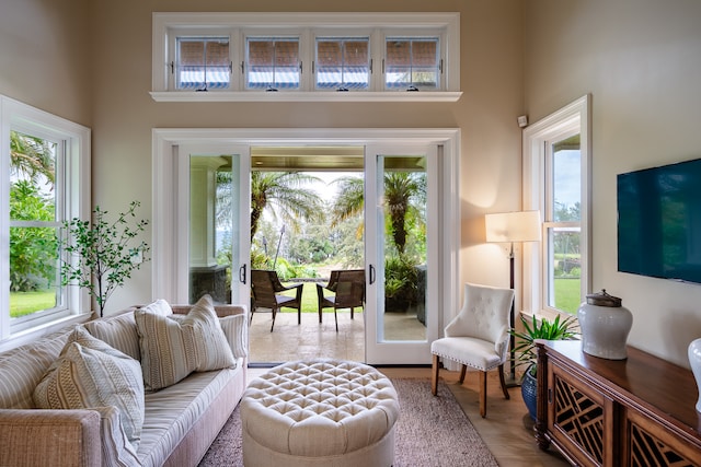 living room featuring a wealth of natural light, hardwood / wood-style flooring, and a towering ceiling