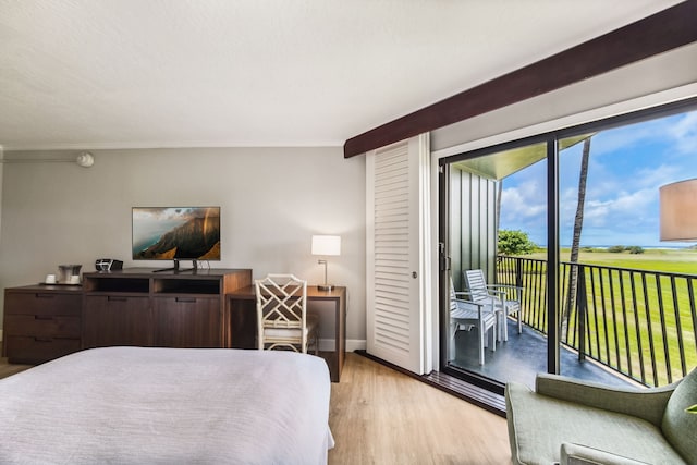 bedroom with light hardwood / wood-style floors and access to exterior